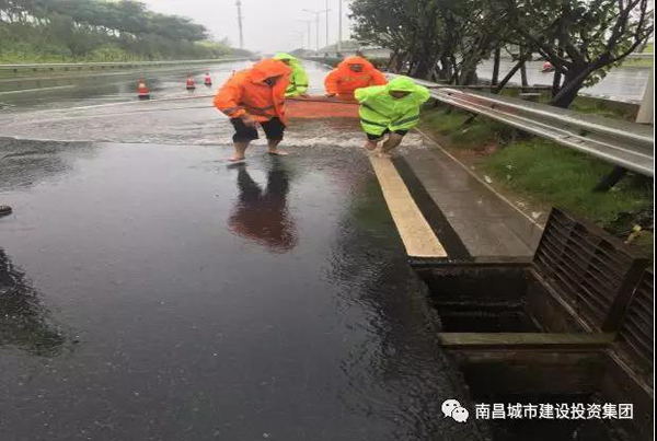 2019_拉斯维加斯3133cc